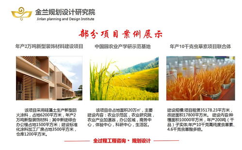 乳山旅游开发项目策划咨询 粉煤灰与煤矸石资源化利用的创新规划