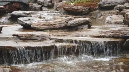 西冲旅游度假区 大干快上迎两会，擘画旅游发展新蓝图